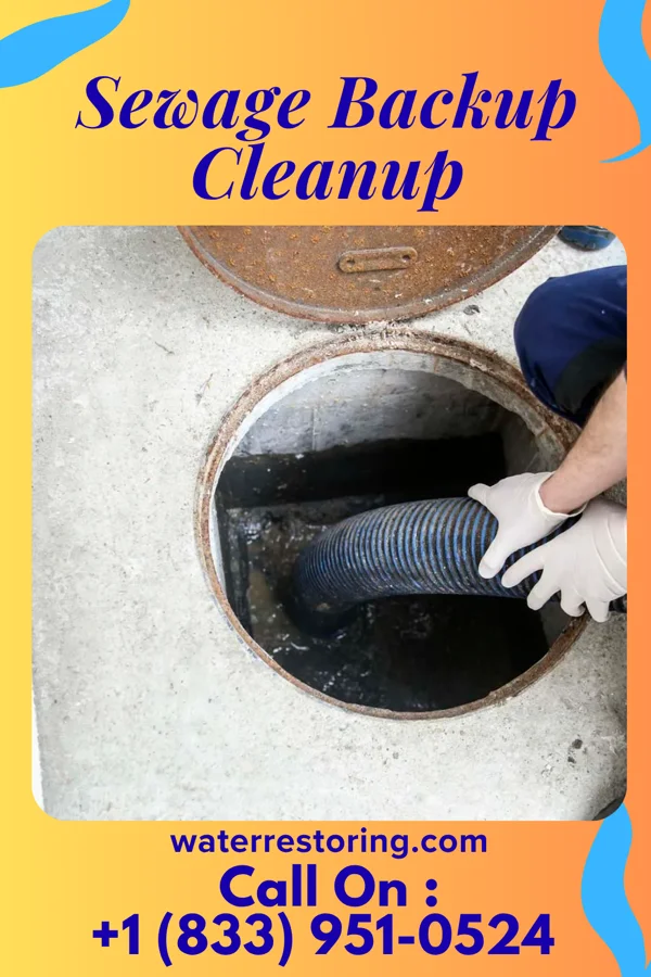 Sewage Backup Cleanup in Johnsonville, IL